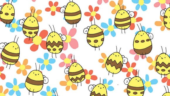 Encuentra la abeja que tiene un patrón único. (Foto: dudolf.com)