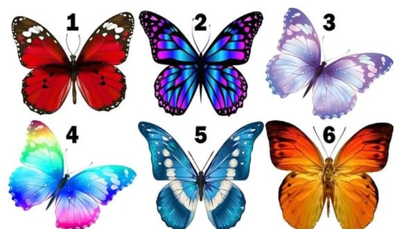 TEST VISUAL | En esta imagen se pueden apreciar muchas mariposas. ¿Cuál es tu favorita? (Foto: namastest.net)