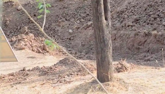 Trata de encontrar al leopardo oculto en esta fotografía, Solo tienes 20 segundos para superar el reto. | Foto: Hemant Dabi