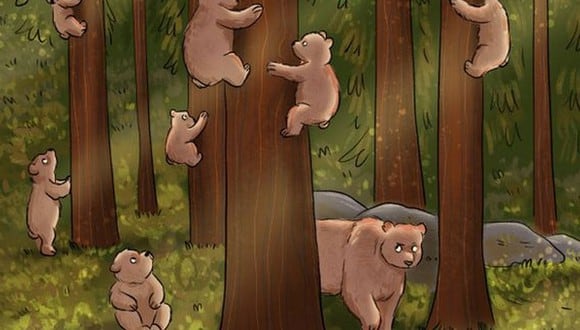 En esta imagen hay muchos osos. Tienes que ubicar al que no es uno de ellos en 4 segundos. (Foto: genial.guru)