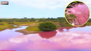 Viral: aguas de humedal asombran a turistas al teñirse de color rosa en Hawái