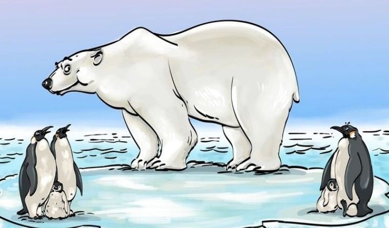Encuentra el error en el reto viral del oso polar y los pingüinos que vence a miles de usuarios. (MDZol)