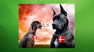Perú vs. Dinamarca: calma los nervios y vacílatecon los memes del debut de la bicolor en Rusia 2018