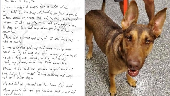 "Mi papá perdió su trabajo y pronto su trabajo por el covid-19", dice una carta que fue dejada junto al can. Su historia se volvió viral en las redes sociales. (Foto: Aaron Cantrell / Facebook)