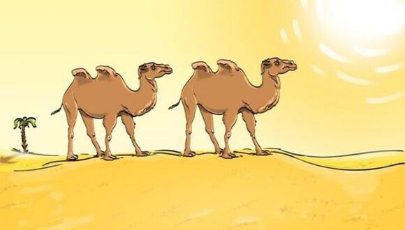 Resuelve este reto visual en siete segundos: el viral los camellos tiene un error, ubícalo. (Foto: Genial.Guru)
