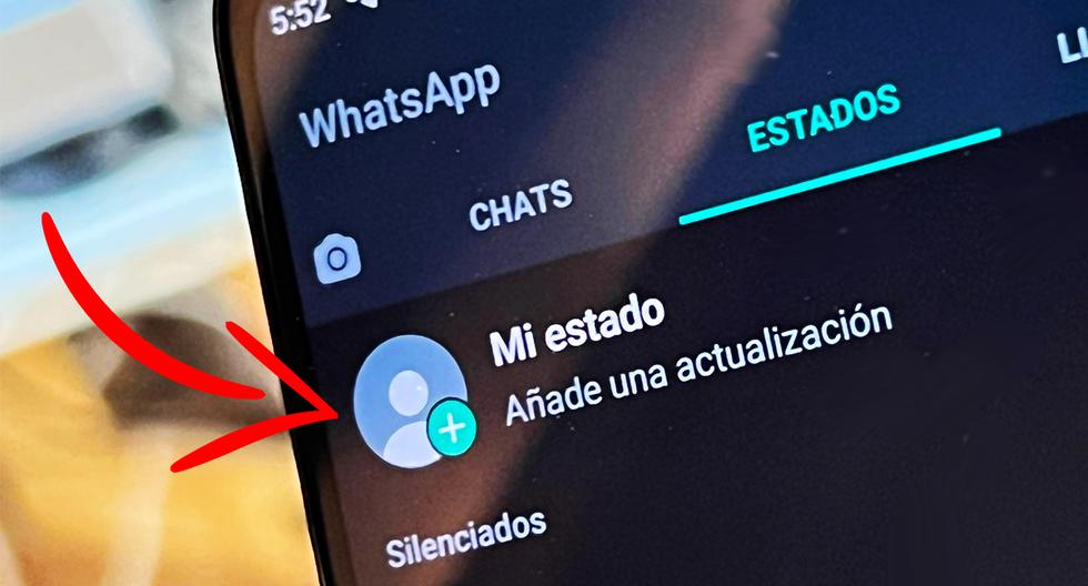 Whatsapp Está Probando Reacciones Para Los Estados En Los Servidores Beta App Aplicación 3248