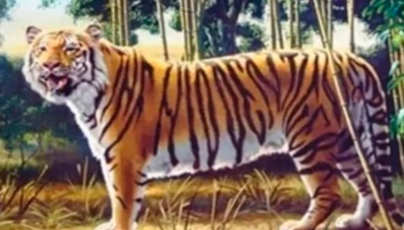 Observa detenidamente la ilustración y trata de encontrar el tigre oculto que aparece.| Foto: genial.guru