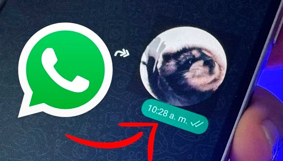 WHATSAPP | De esta manera podrás enviar un sticker con audio en WhatsApp. Aquí te explico todos los pasos. (Foto: MAG - Rommel Yupanqui)