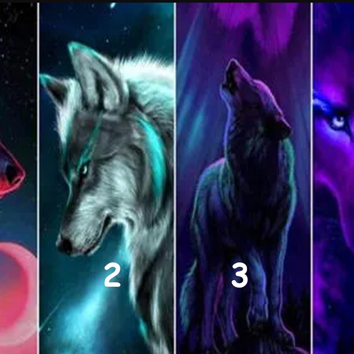 ▷ Escoge uno de los cuatro lobos y comprueba al 100 % si eres una persona  romántica | MEXICO | DEPOR