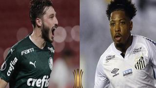 Palmeiras vs. Santos: ¿cómo llegan los equipos a la gran final de la Copa Libertadores?
