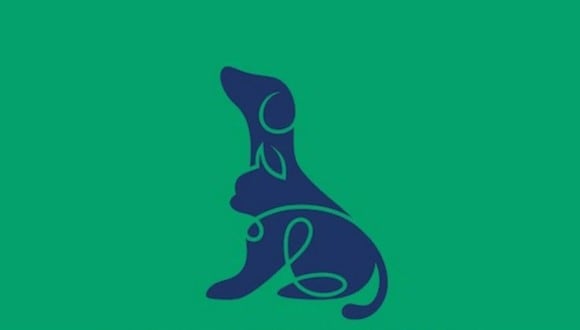 En esta imagen, cuyo fondo es de color jade, se aprecia el dibujo de un perro y el de un gato. (Foto: MDZ Online)