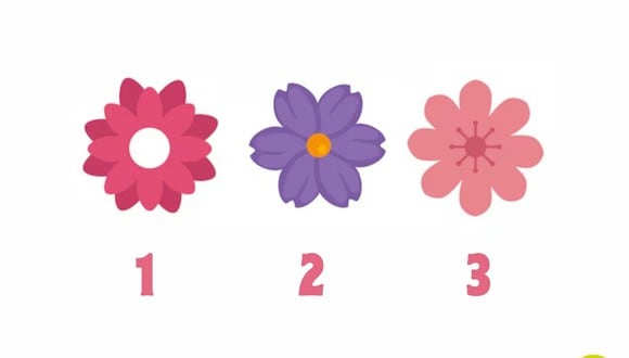 TEST VISUAL | Cada flor contiene un mensaje especial que te dejará sorprendido. (Foto: Composición Freepik / Depor)