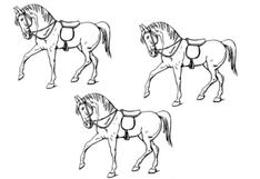 ¿Qué caballo se distingue del resto de corceles? El reto viral de dificultad avanzada