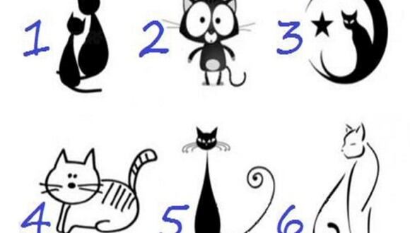 TEST VISUAL | En esta imagen hay muchos gatos. Selecciona uno. (Foto: namastest.net)