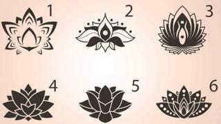 Destapa tu alma y cuerpo: escoge una flor de loto y conoce su significado en el test viral