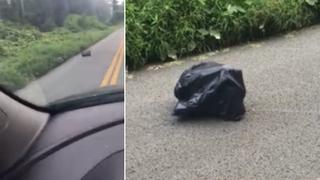 Halló una bolsa moviéndose en medio de la carretera y lo que había en su interior la dejó en shock