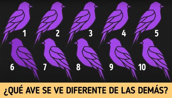 Reto visual de hoy: ¿Cuál es el ave distinta en la imagen? Solo tienes 10 segundos para hallarlo. (Foto: Pinterest)