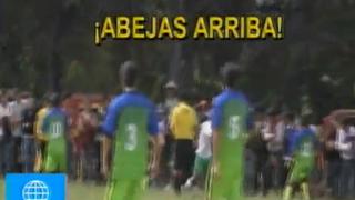 Copa Perú: partido se paralizó por ataque de abejas y pelea entre jugadores [VIDEO]