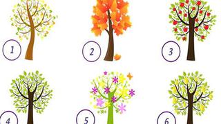 El árbol que llame más tu atención revelará los resultados del test de personalidad