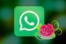 WhatsApp: así puedes programar mensajes por el Día de la Madre