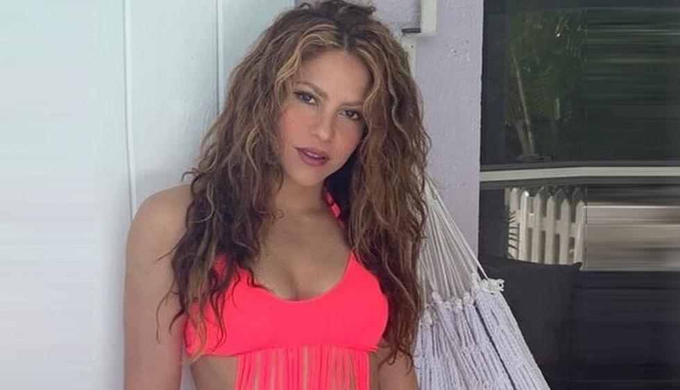 Shakira disfruta de sus vacaciones nadando entre delfines. (Foto: @shakira)