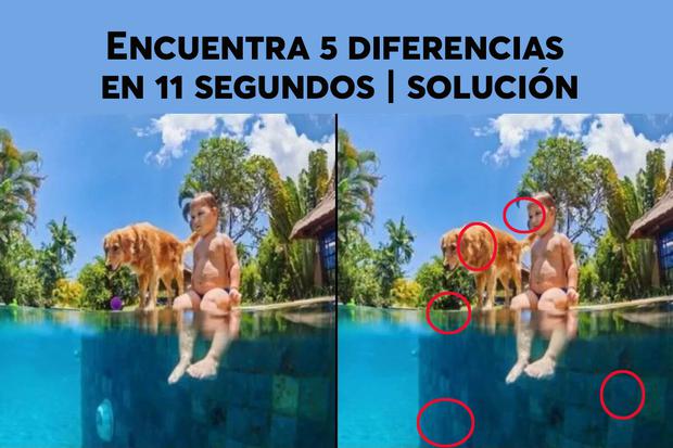 SOLUTION OF THE VISUAL CHALLENGE |  Take a moment to compare your findings with the image and determine how many differences you successfully detected.