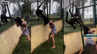 Video viral: Mono se enfurece y jala el cabello a joven que lo estaba molestando