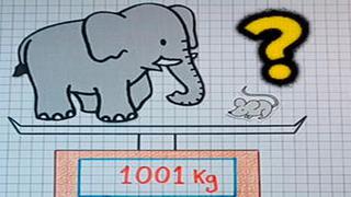 ¿Puedes descifrar cuánto pesa el ratón? Resuelve en 8 segundos este acertijo visual
