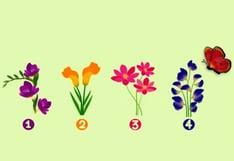 Descubre tu estilo amoroso con este divertido test visual: ¿Qué flor atraerá a la mariposa? 