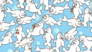 Acertijo visual imposible de resolver: ¿lograrás hallar el ‘marshmallow’ oculto entre las focas? [FOTO]