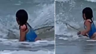 Mujer graba el momento en que su hija se encuentra con un tiburón estando en la playa