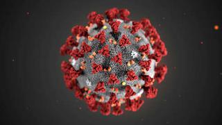 Coronavirus: ¡Gamers contra el COVID-19! A través de Foldit, un videojuego, ellos podrían encontrar la cura para el virus