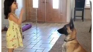 ¡Encantador! Perro juega a las escondidas con su pequeña dueña como si fuera un niño más