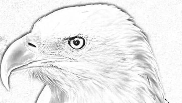 Obtén una vista de águila gracias al paño de gafas - El Blog Realisaprint