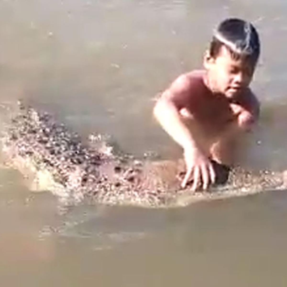 Video Viral, 2020 | Niños juegan en lago con un feroz cocodrilo y la escena  dio la vuelta al mundo | Redes sociales | [VER VIDEO VIRAL] | OFF-SIDE |  DEPOR