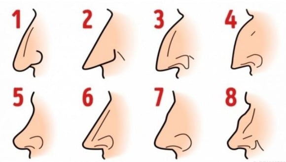 Mira el test de los tipos de nariz y la que se parezca a la tuya te dirá algo que no esperabas sobre ti. (Mdzol)