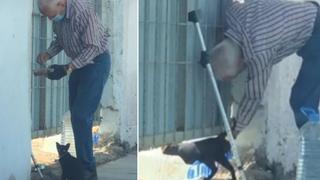 Anciano de gran corazón camina desde muy lejos diariamente para darle comida a una gatita callejera