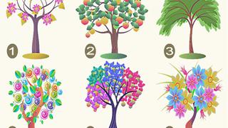 Elige 1 de los 6 árboles para saber los rasgos dominantes de tu personalidad