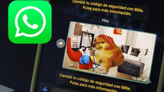 El truco para enviar tus fotos en HD o alta calidad por WhatsApp: pasos