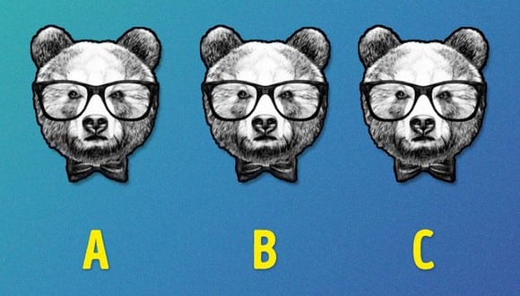 Tu ojo te va a engañar como al 90%: ¿qué oso del reto visual es diferente en 5 segundos? (Foto: Genial.Guru)