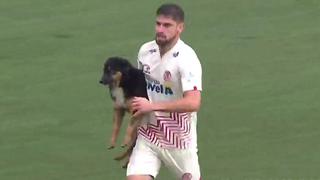 Cosas del fútbol: un perrito se metió al campo durante el UTC vs. Sporting Cristal