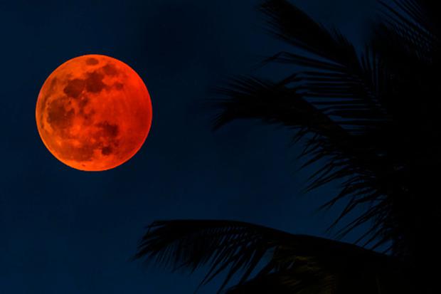 En diferentes partes del mundo se podrá observar un eclipse lunar penumbral este viernes  de mayo. (Foto: Getty Images)
