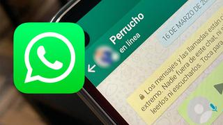 WhatsApp: cómo leer tus mensajes sin aparecer “en línea” este 2021