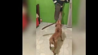 Video viral: Feroz perro ataca a joven con machete en el hocico