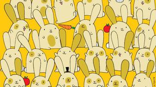 ¿Puedes encontrar al conejo sin pareja en el desafío viral? Tienes 5 segundos para hallarlo