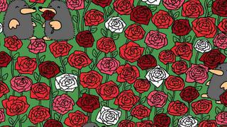 El reto viral inspirado en San Valentín: halla los corazones entre las rosas