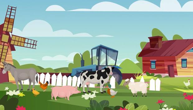 In this illustration you can see a farm with many animals: there is a donkey, a chicken, a chicken, a pig, a cow, a duck and a sheep.  (Photo: cool.guru)