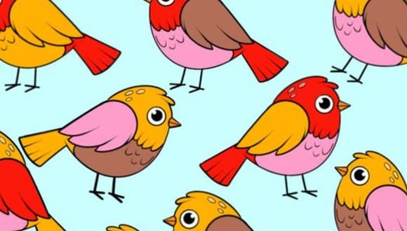 En esta imagen hay un pájaro distinto al resto y tú misión consiste en identificar cuál es. (Foto: genial.guru)