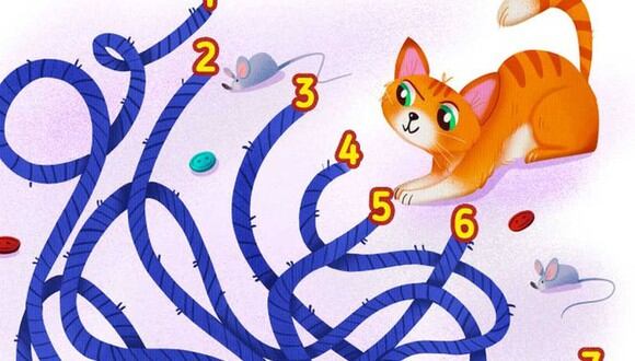 En esta imagen hay siete caminos. Dinos cuál es el que debe tomar el gato para encontrar su lana. (Foto: genial.guru)