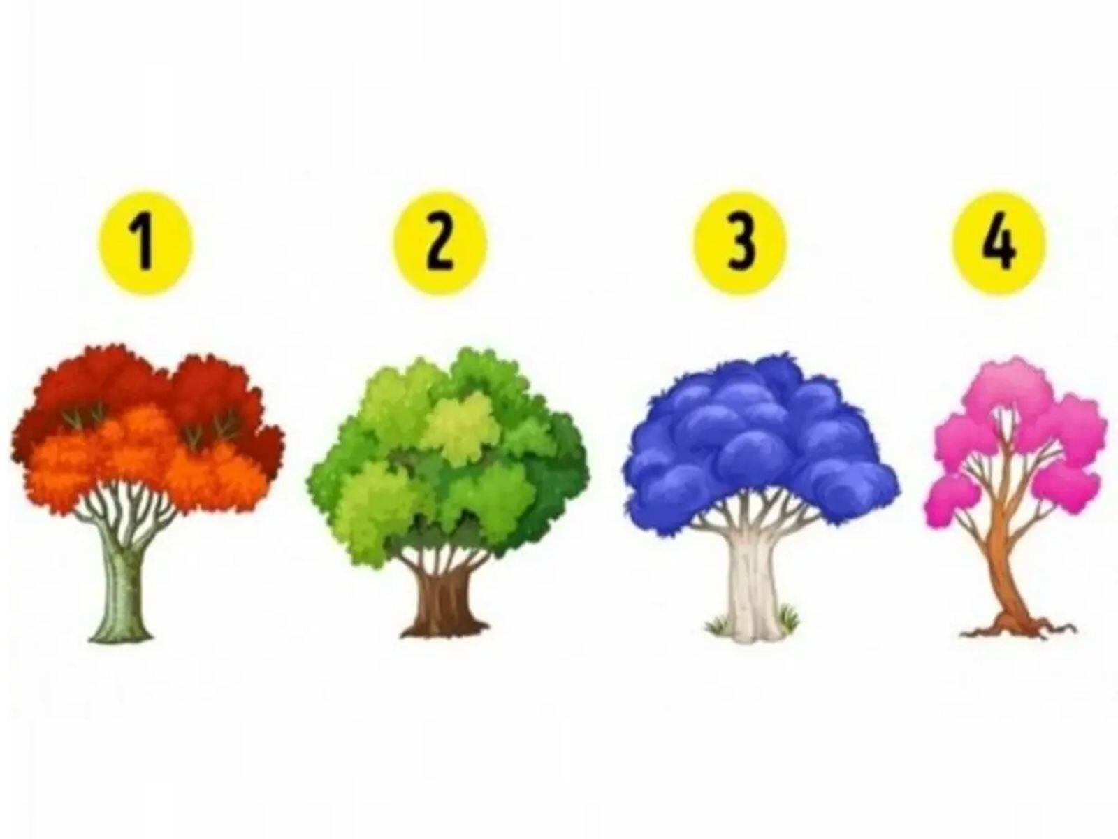 TEST VISUAL | Esta imagen te muestra cuatro árboles. Tienes que elegir uno. (Foto: namastest.net)